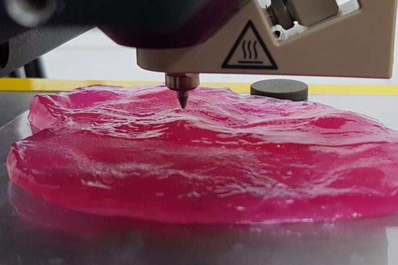 3D Printed Meat Market to Reach US$ 179.1 Million by 2023
