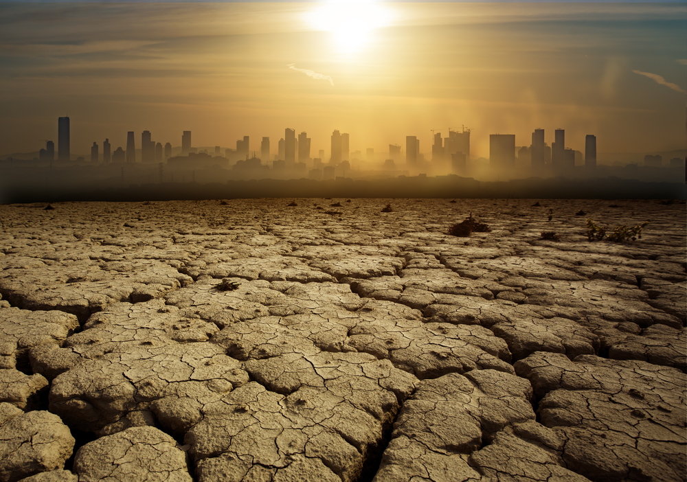 Collaboration and Partnerships in Climate Change Consulting