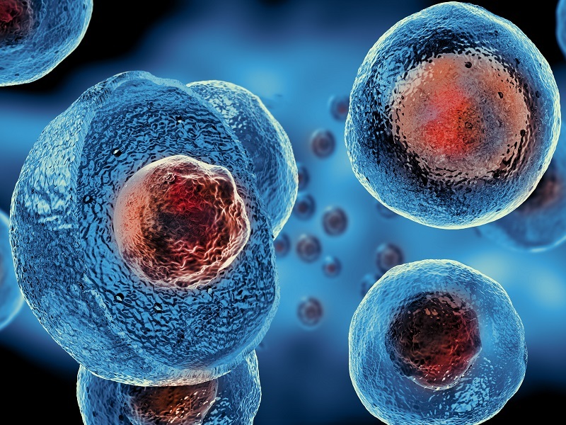Exploring the Booming Cell Therapy Market