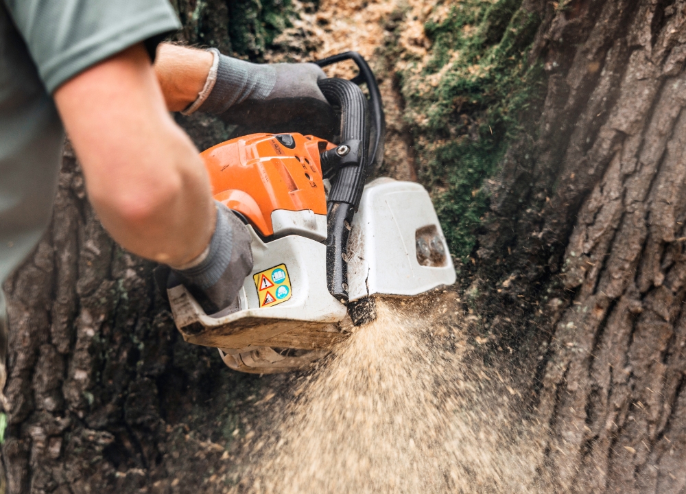 The Ham Tree Service