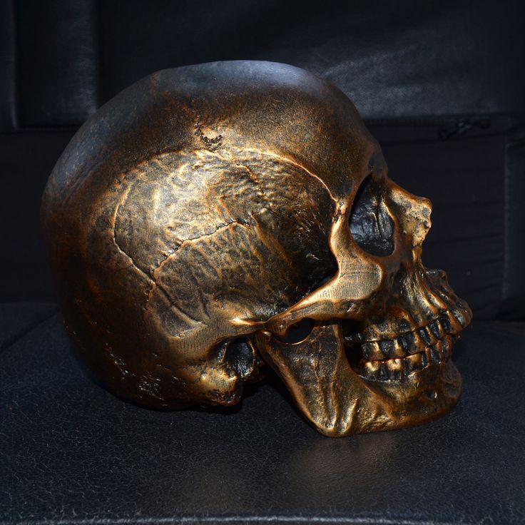 Human skull lyre for sale