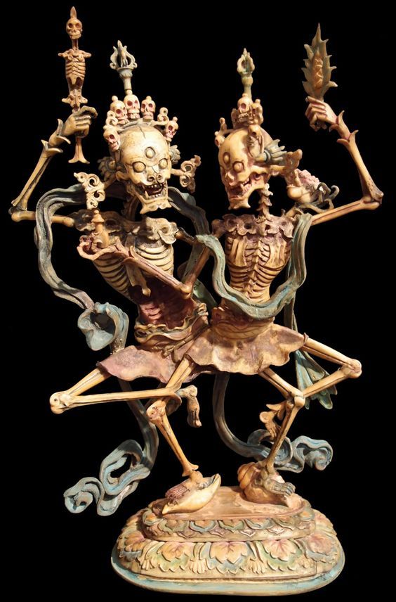 Human Bones for Sale