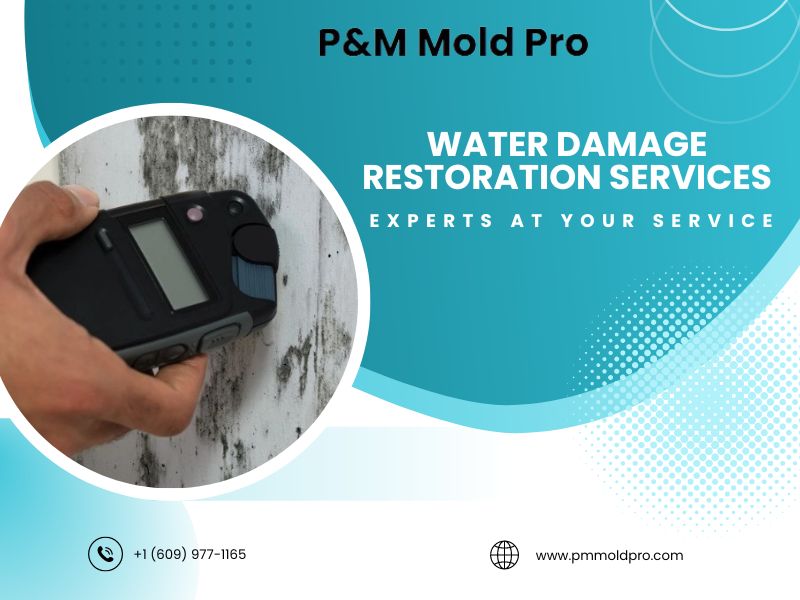 From Damp to Dry: Trusting the Restoration Water Damage Experts in New Jersey