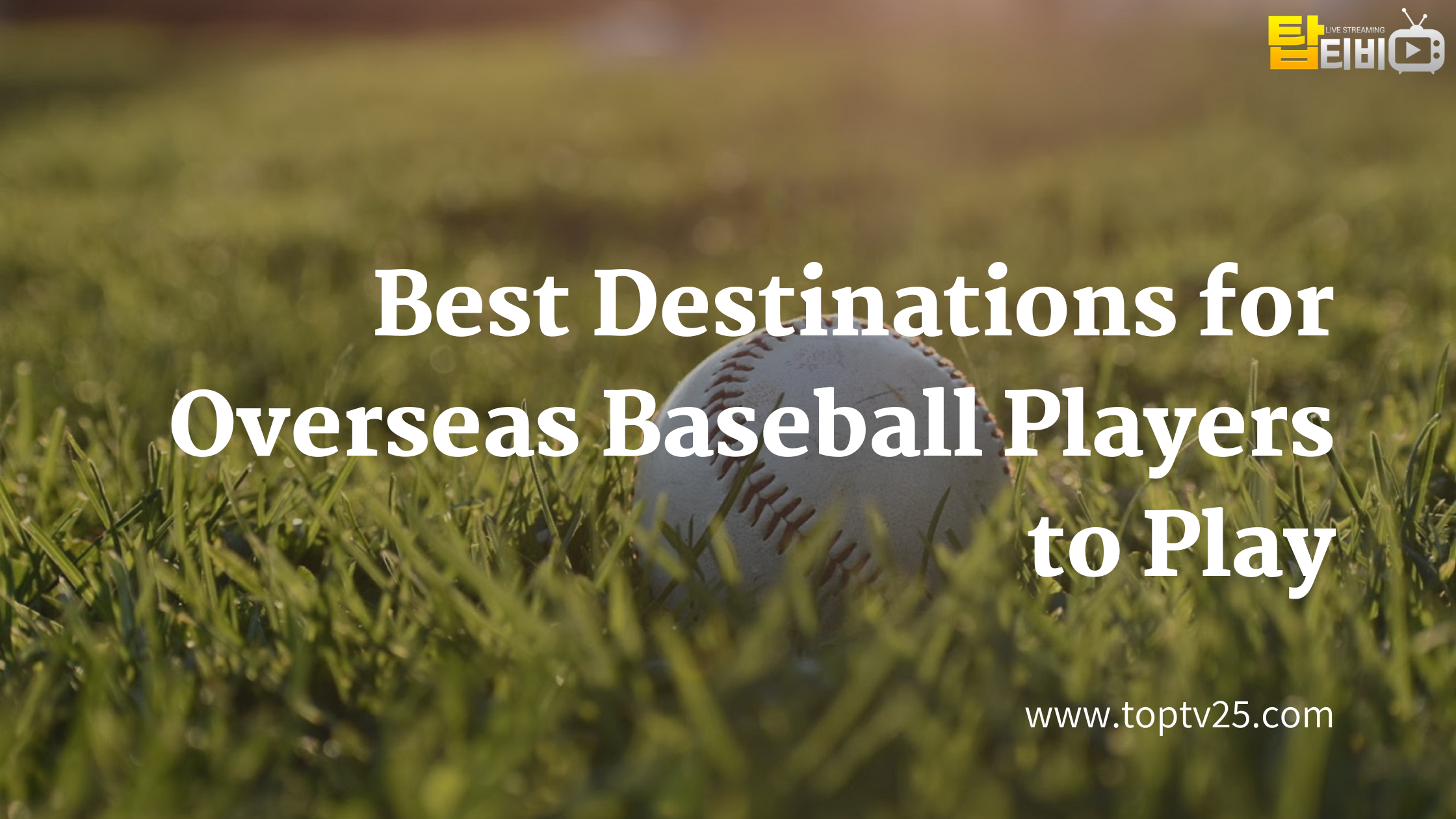 Best Destinations for Overseas Baseball Players to Play