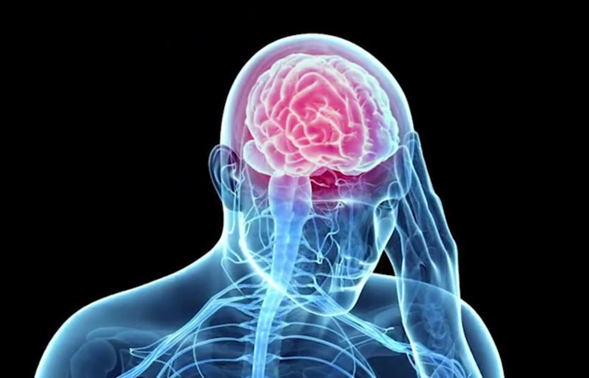 Assessing the Military’s State on Troops’ Traumatic Brain Injury Cases