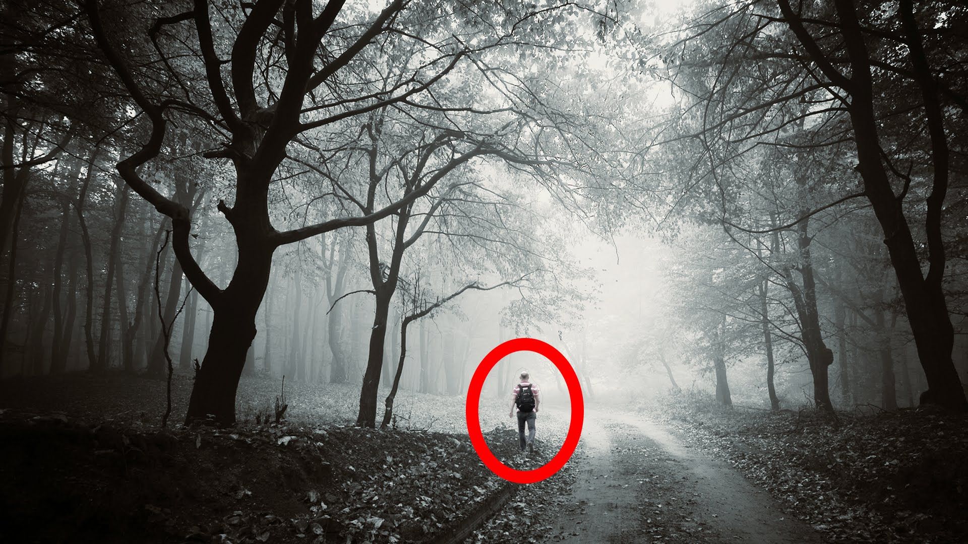 Introducing the Extraordinary Journey of Dr. Douglas - Unraveling Mysteries Within