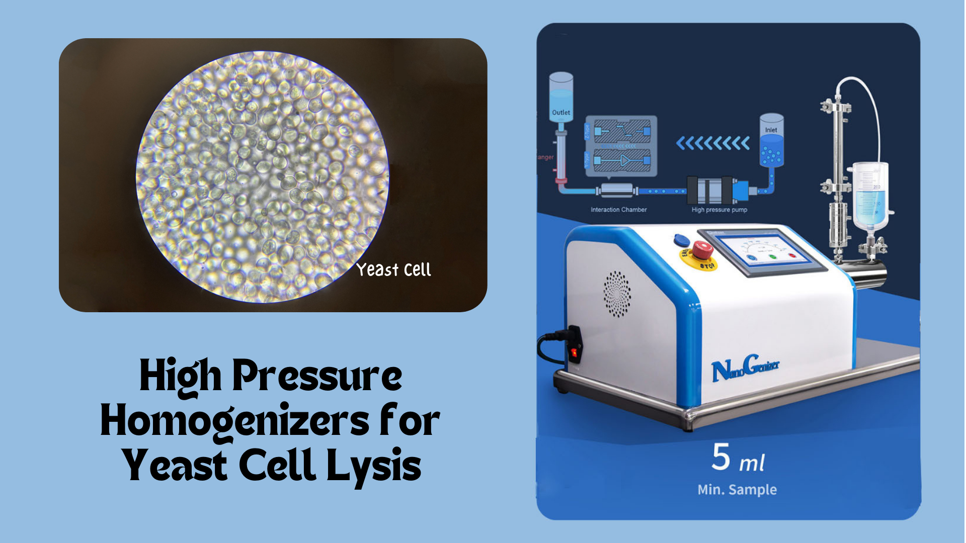 High-Pressure Homogenization for Yeast Cell Lysis: Effective Methods of Cell Disruption