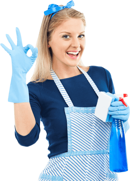 Professional Commercial Cleaning Brunswick in Services