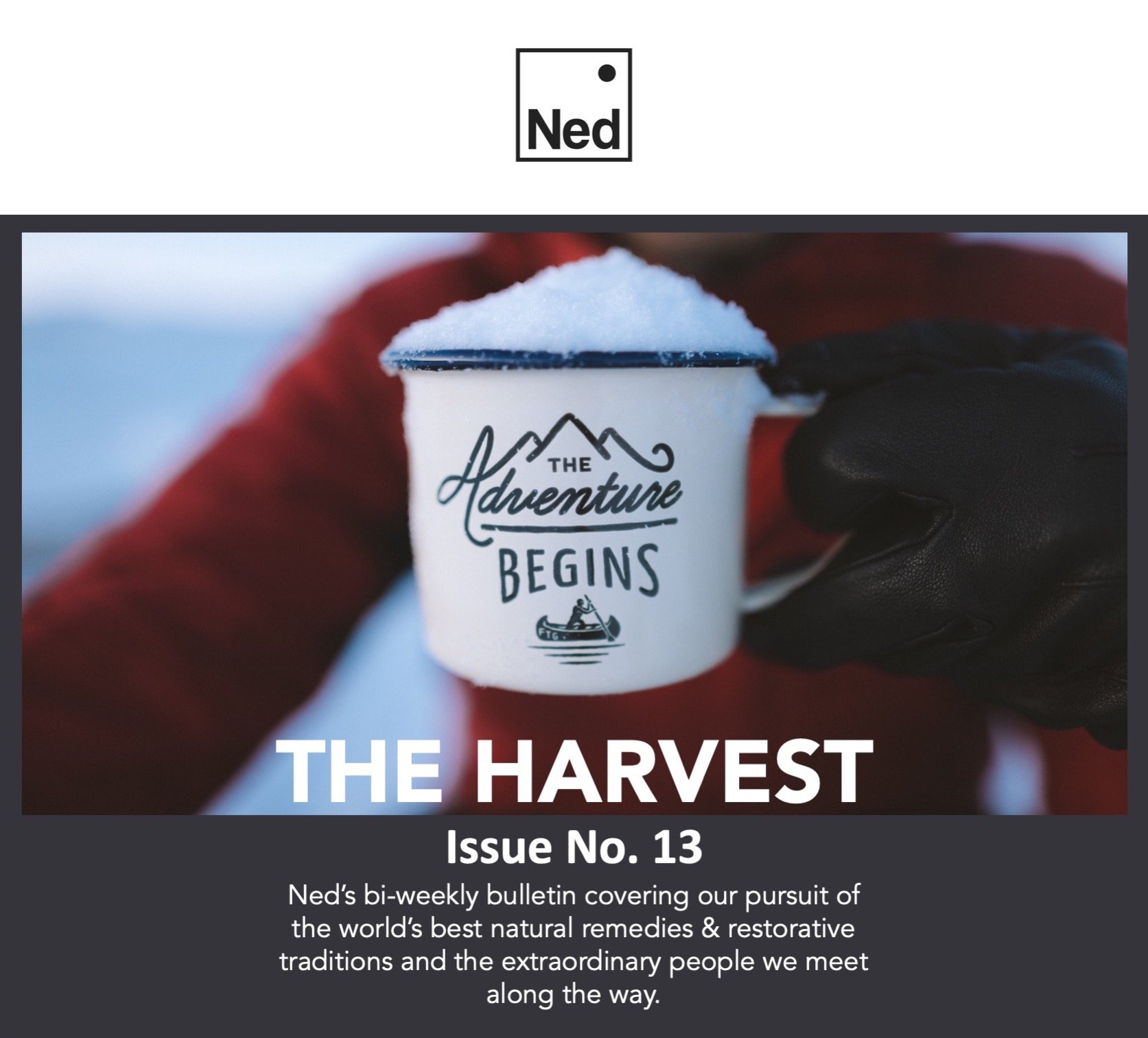 Ned Hormone ENERGIZE Roll-On