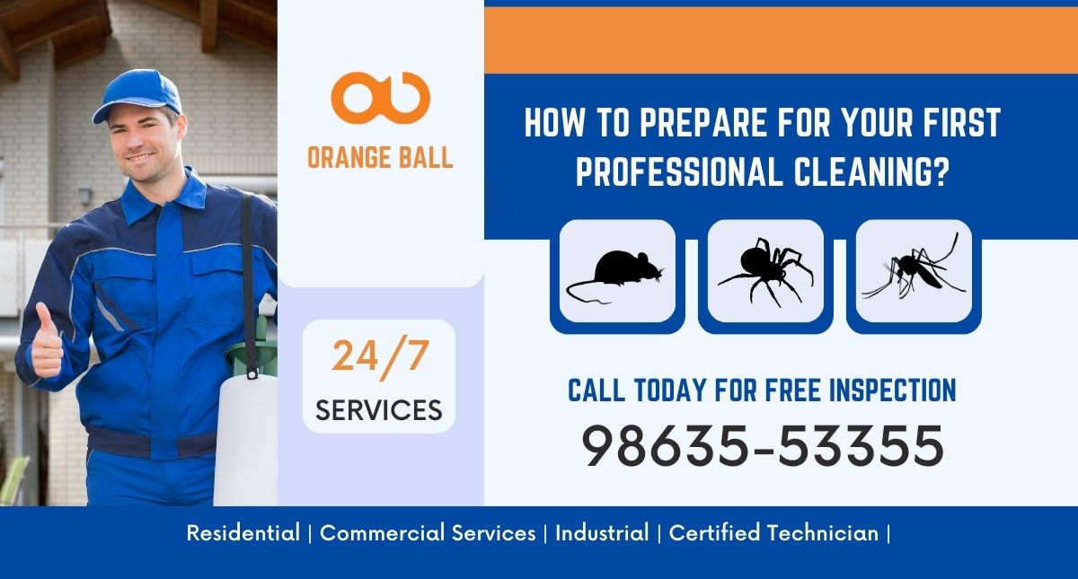 How to Prepare for Your First Professional Cleaning?