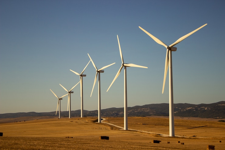 Wind Electricity Market Overview 2024-2033 – Share, Size, Insights, Forecast