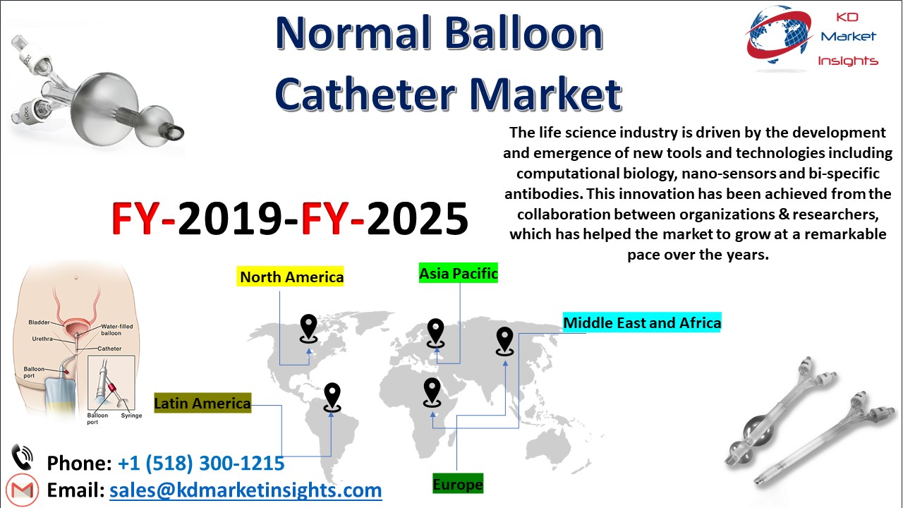Normal Balloon Catheter Market Estimated to Soar Higher During 2019-2025
