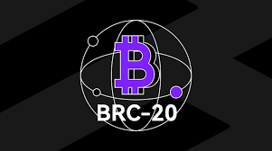 BRC20 Token Development: Visiting Some Viable Use Cases!