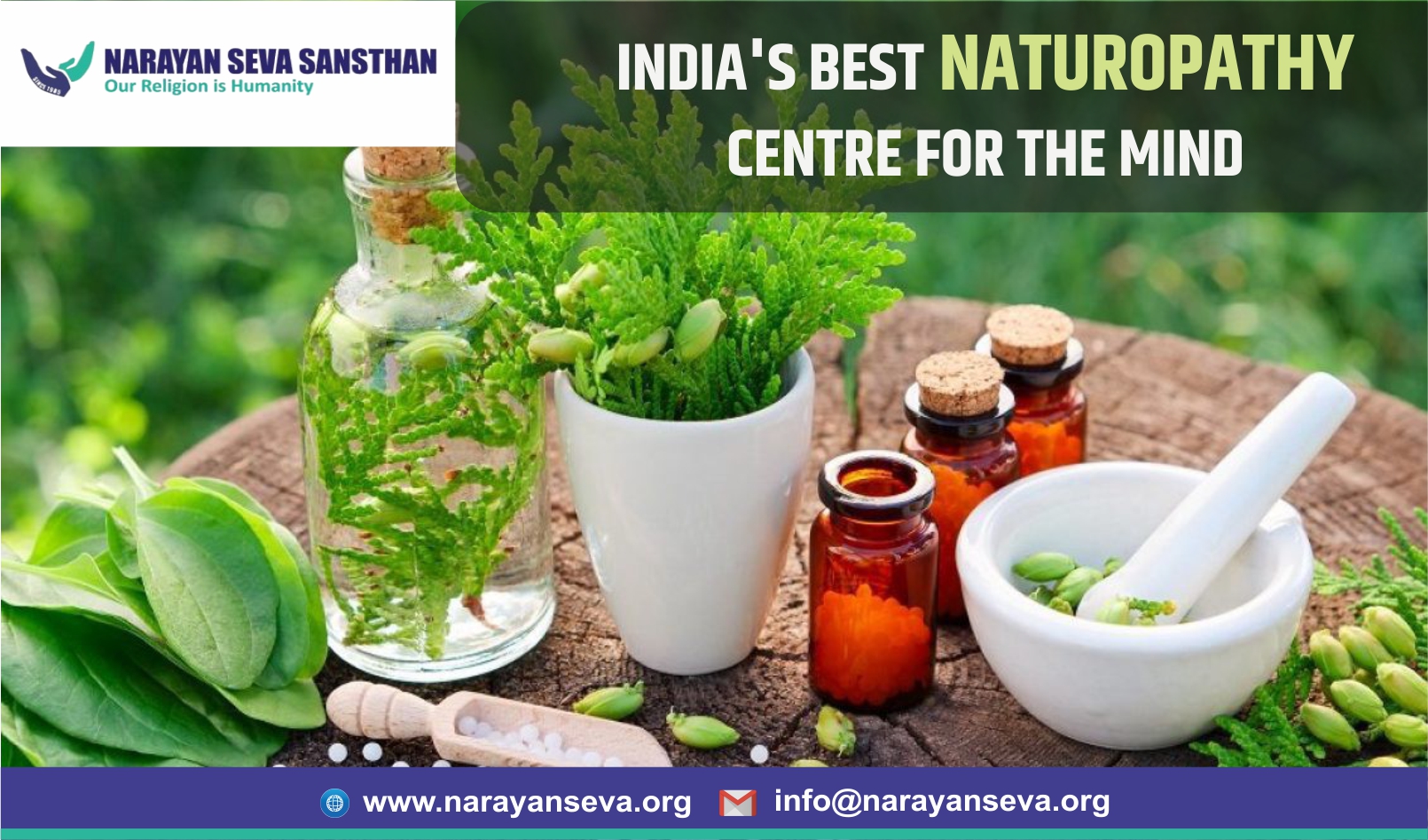 Free Naturopathy Treatment Center in India