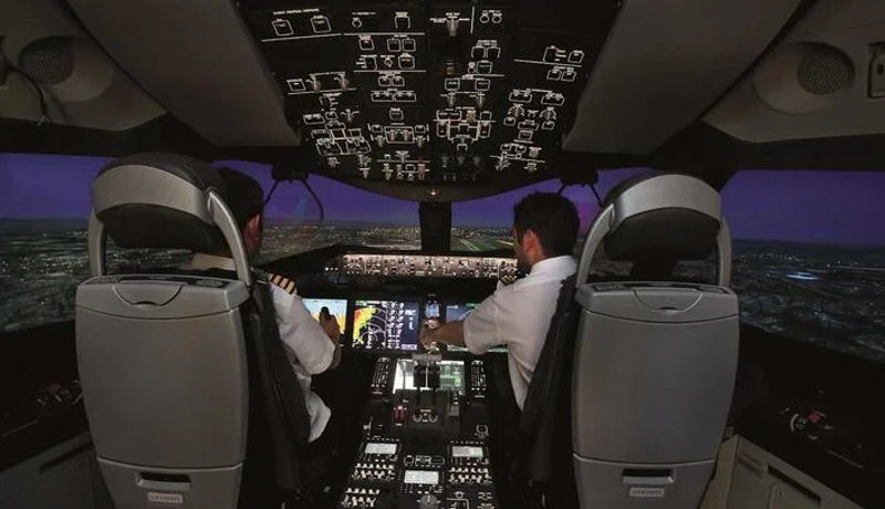 Capturing the Experience: Market Share Dynamics in the Simulators Market