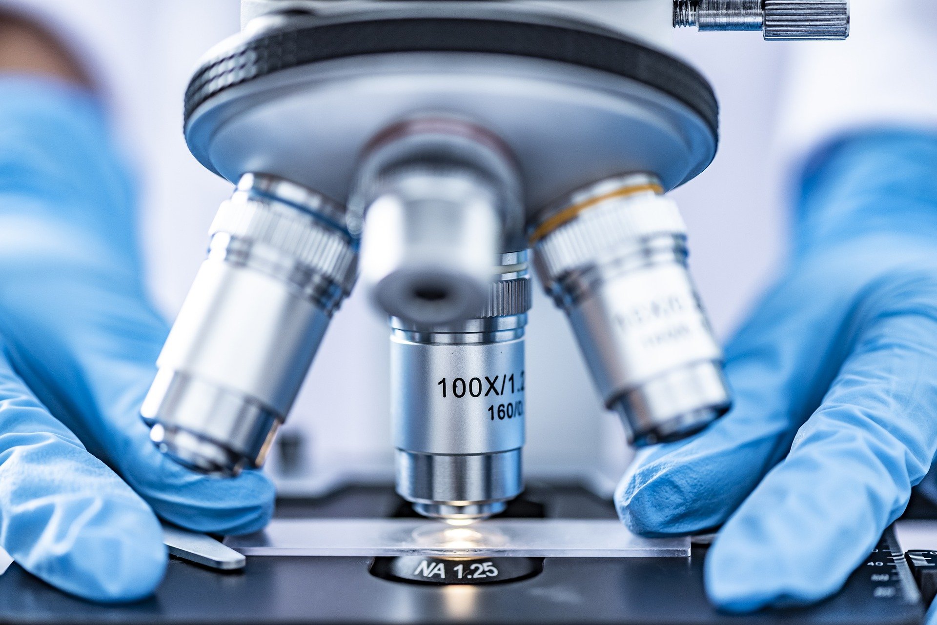 Biotechnology Services Market By Geographical Segmentation Analysis And Outlook Forecast To 2025