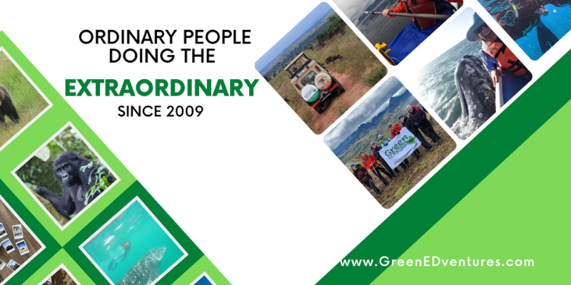 Step Into the Wild Wonder of the Galápagos