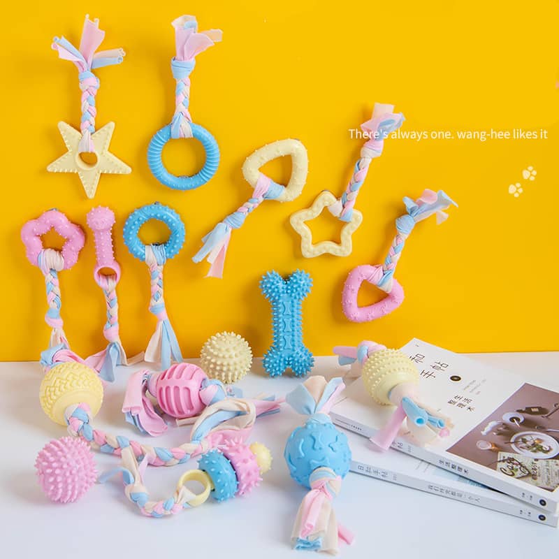 Trending & Fun China Pet Toys – Your Pet Must Have