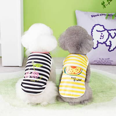21 Trending Dog Clothes Wholesale & Selection Guide