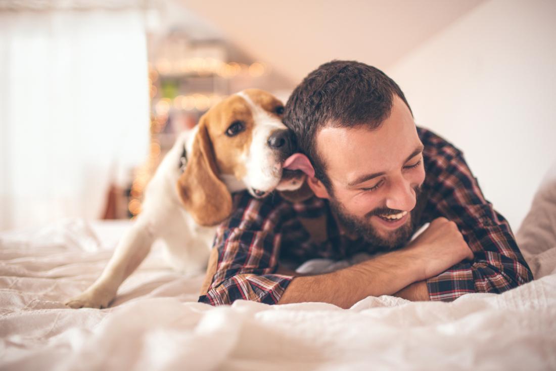 Get ready for Your Pet Sitter!