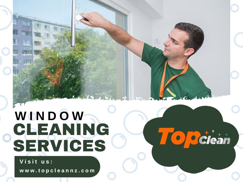 Window Washing in Tauranga: Why Clean Windows Matter