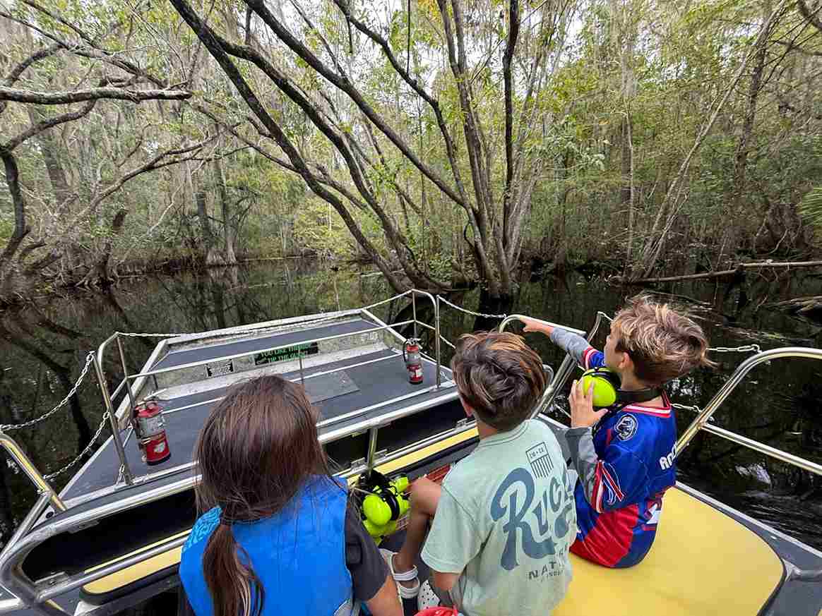 Can Swamp Tours Be Educational for Kids?