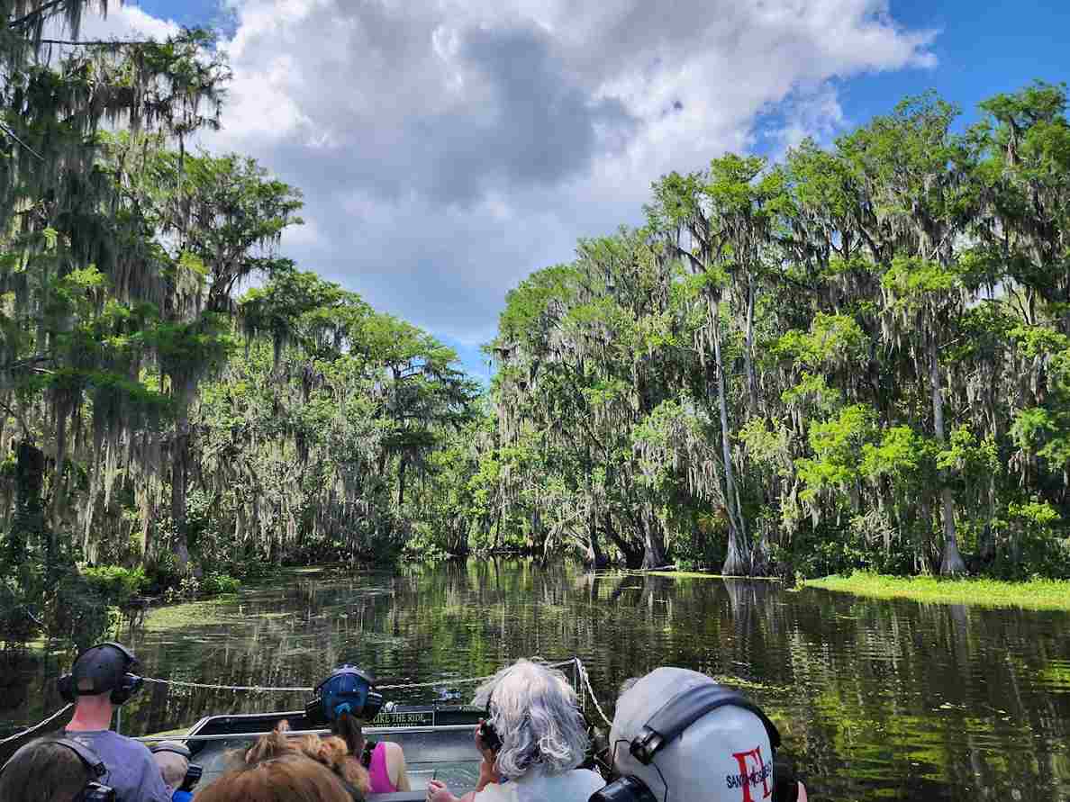 What are the Most Thrilling Swamp Tour Experiences?