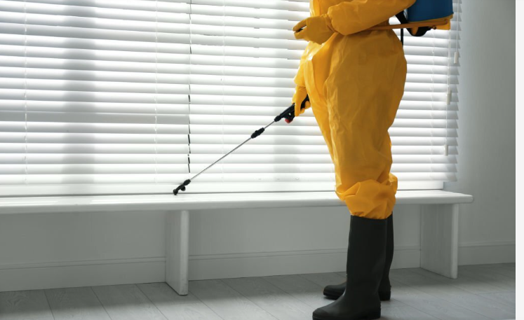 The Top 5 Cockroach Pest Control Products for a Roach-Free Home