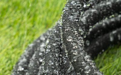 Benefits of Using Organic Fertilizers