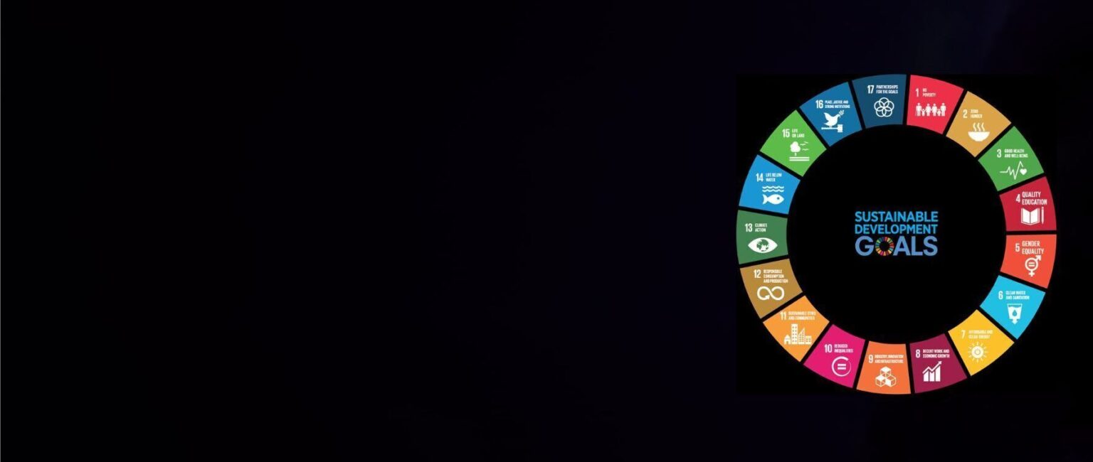 Build a Sustainable Future with SDG Impact Assessment Tool