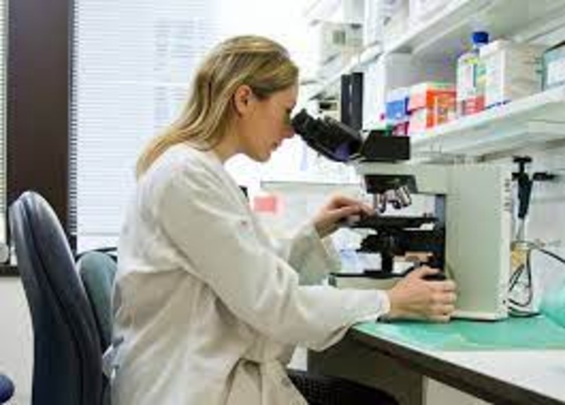 AI in Real-World Evidence Gathering: A Glimpse into 2024 and Beyond