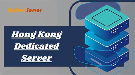 香港服务器代理平台通常的运作方式如下