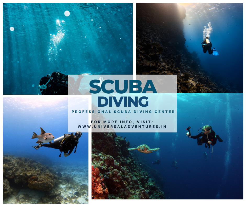 Diving Enthusiasts! Are You Up For an Incredible Scuba Diving in Goa?