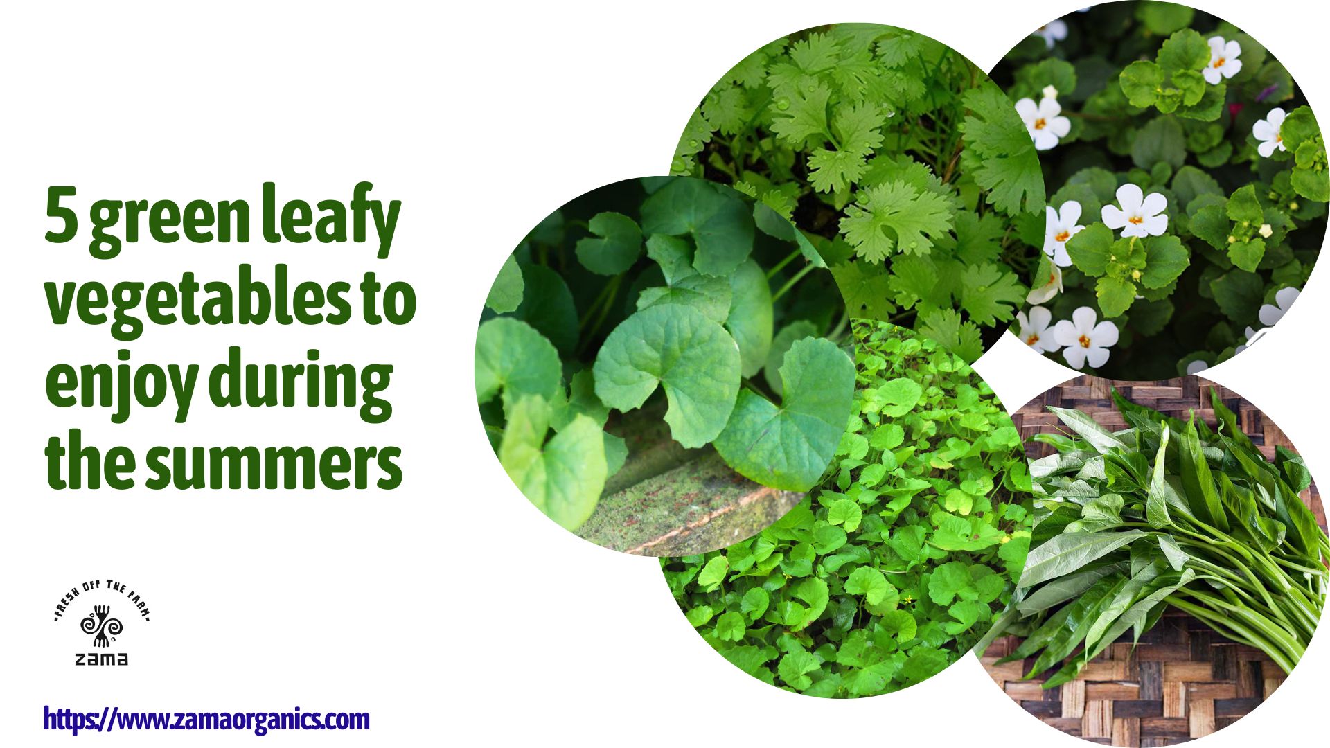 5 green leafy vegetables to enjoy during the summers