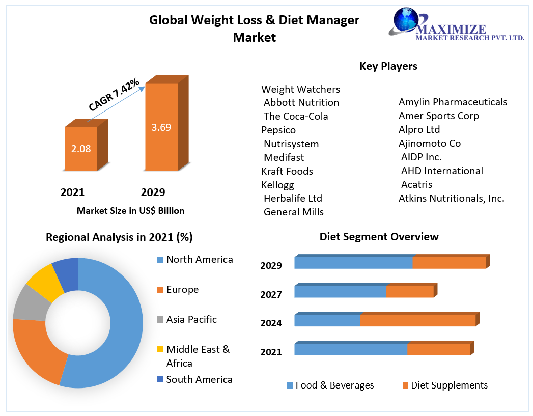 DietSolutions: Meeting Consumer Needs in the Weight Loss and Diet Management Market