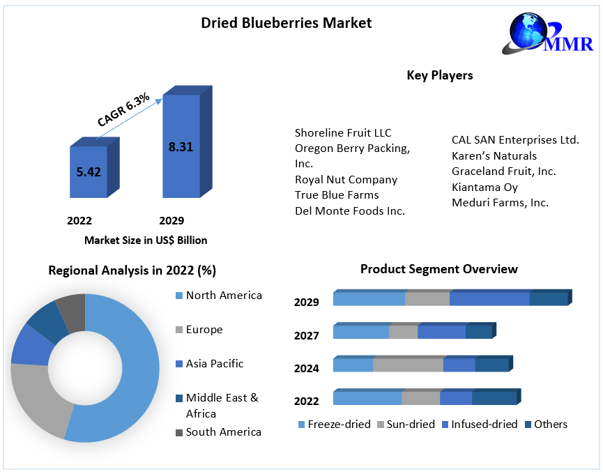 Dried Blueberries Market Overview (2023-2029)