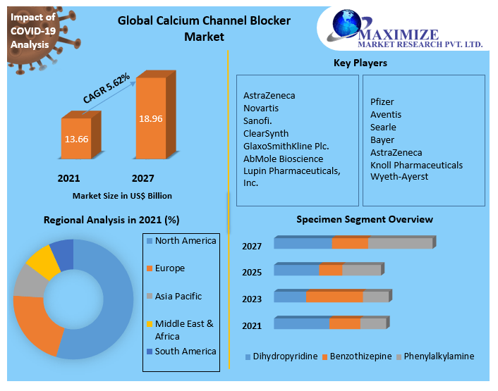 Opportunities in Calcium Channel Blocker Market