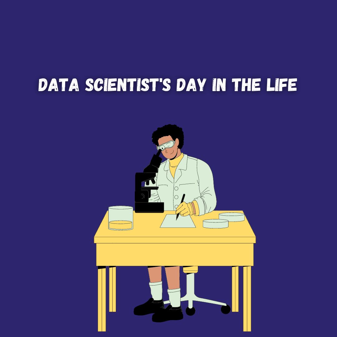 Data Scientist's Day in the Life