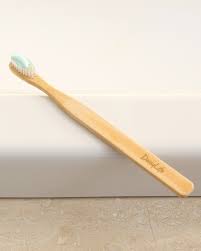 BiodeGreatable- Why biodegradable toothbrushes are good for the environment & you