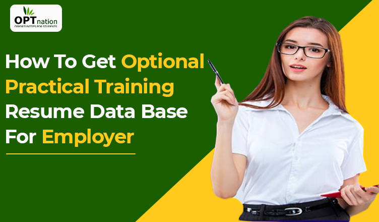 How To Get Optional Practical Training Resume Database For Employer