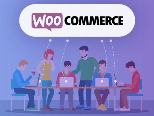 Why Woocommerce is best Solution for Single Owner Websites ?