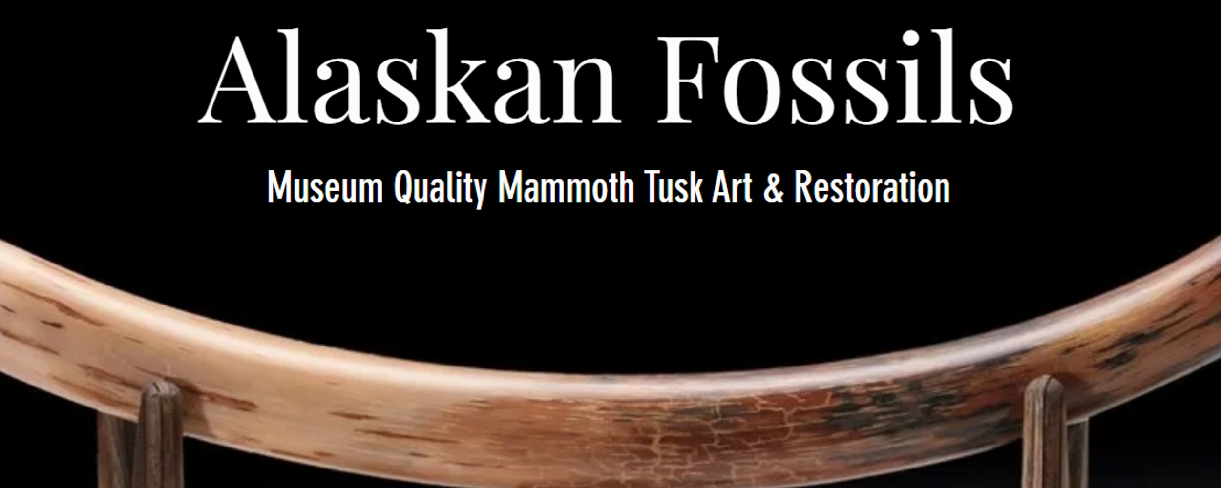 The Buzz on Alaskan Fossils