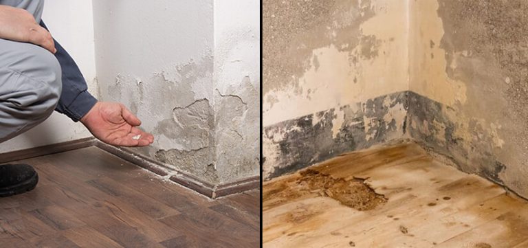 The Hidden Dangers of Water Damage And Mold