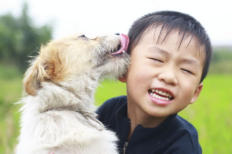 Why Do Animals Need Shelter?