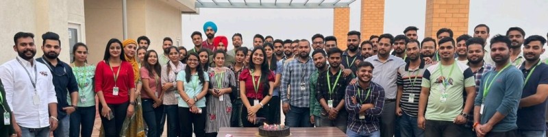 What is Token Distribution in crypto tokens development?