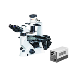 Inverted Fluorescence Microscope