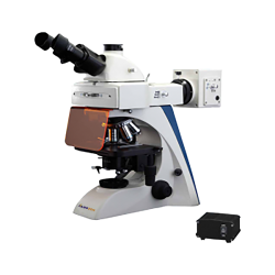 Fluorescence Microscope