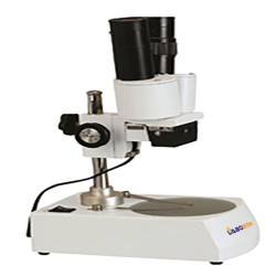 Stereo Microscope