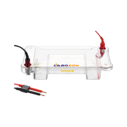 Horizontal Electrophoresis