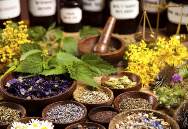 How to Choose the Best Homeopathic Doctor Near You